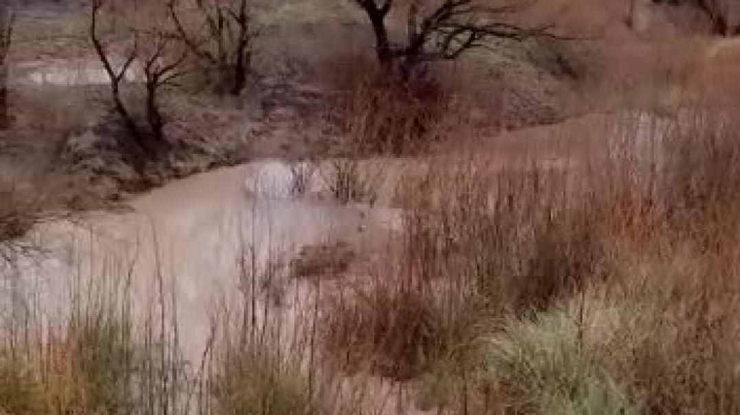 ⁣Desbordó el río Chubut en Las Plumas