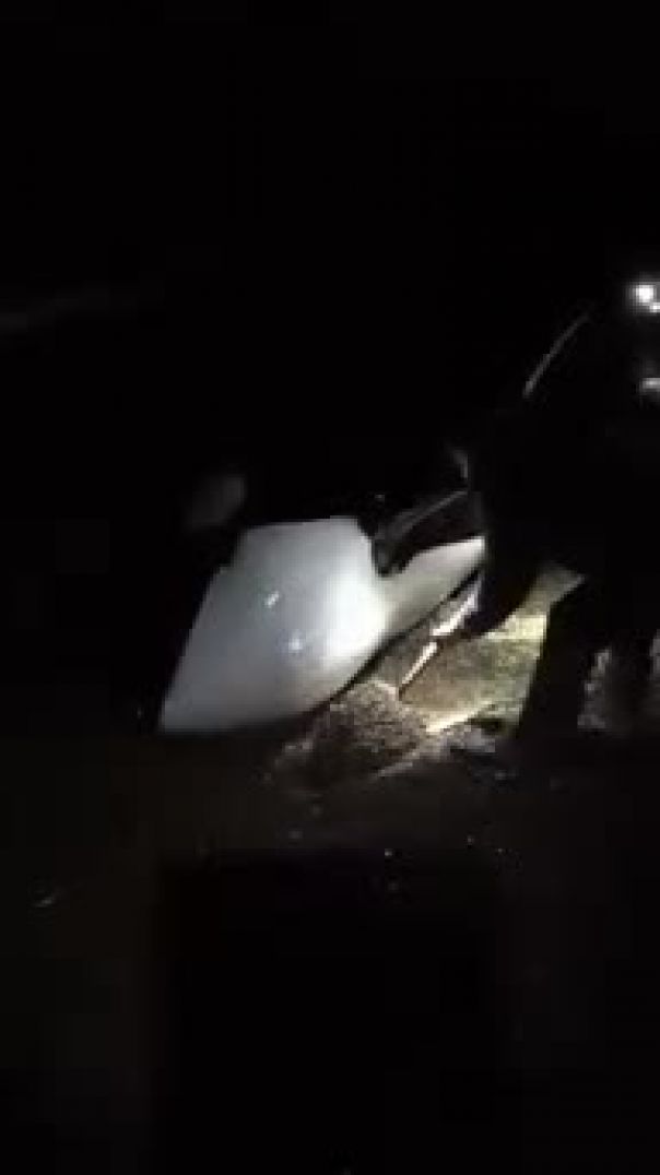 ⁣Una orca encalló en Cabo Raso y murió