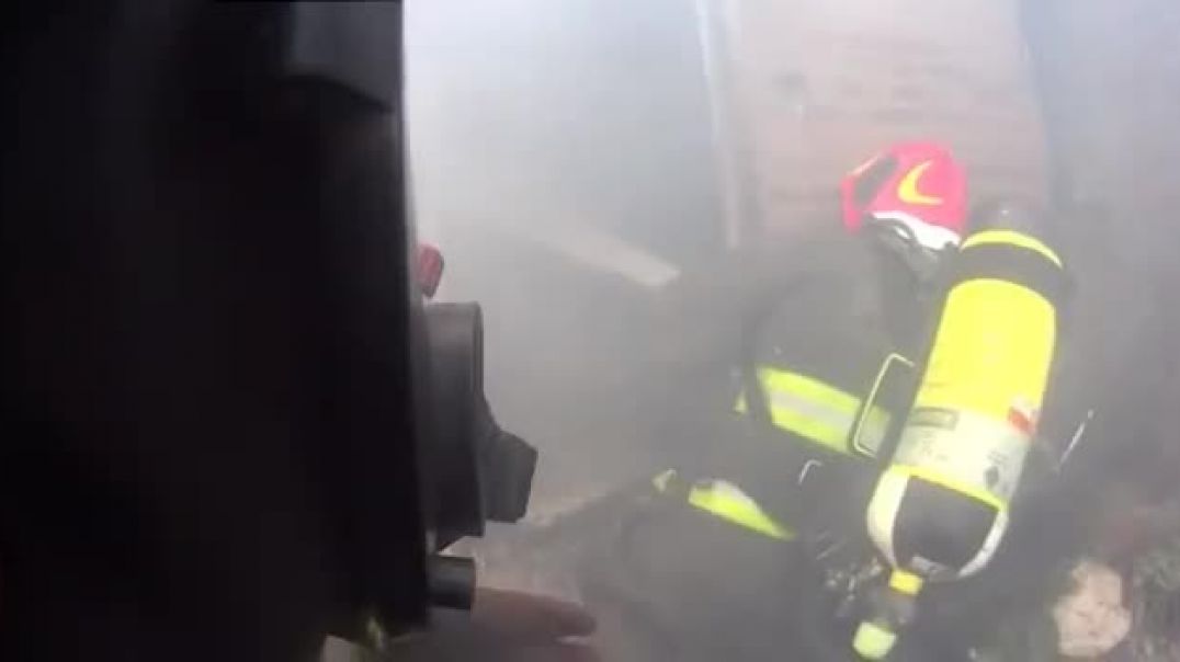 ⁣Bomberos rescataron a un perro que estaba dentro de una casa en llamas