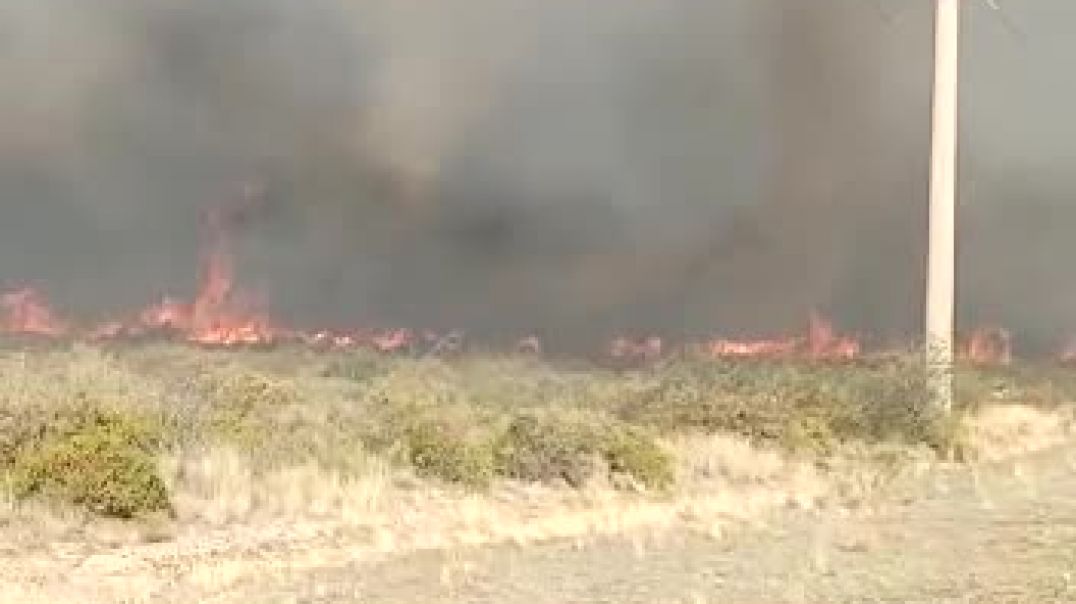 ⁣Madryn: incendio de pastizales cerca de Quintas del Mirador