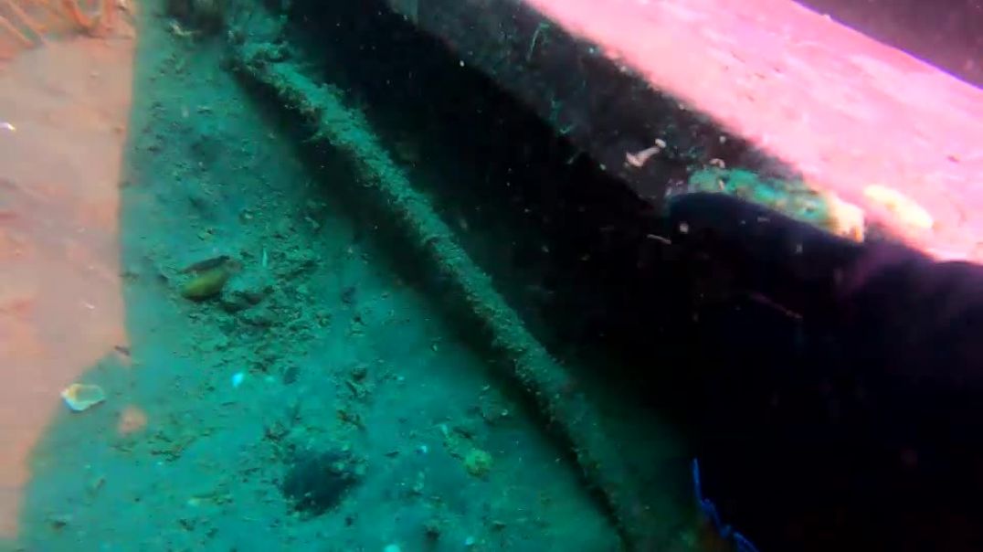 ⁣El arca submarina de Puerto Madryn que guarda tesoros invaluables hasta el año 2100