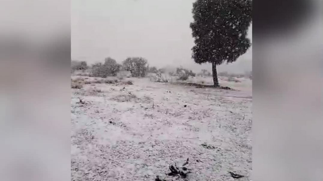 ⁣Nieve y arreo de ganado