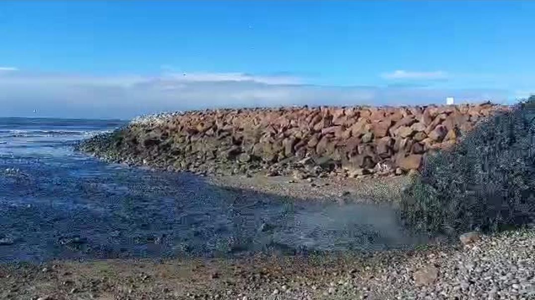 ⁣Comenzó el dragado del río Chubut y despertó el rechazo por el impacto en la costa de Playa Unión