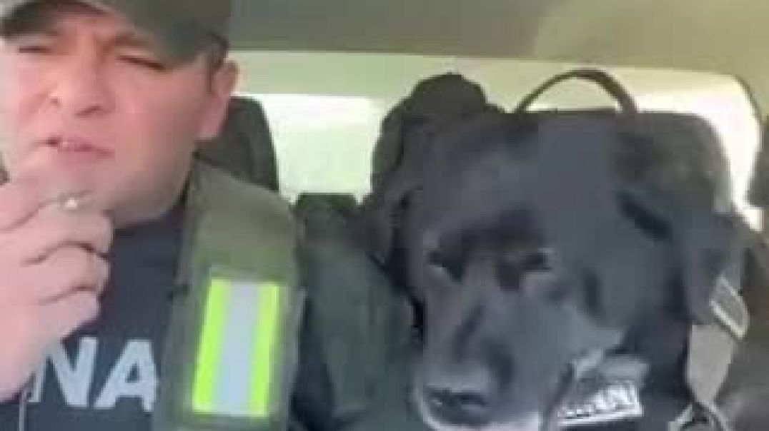 ⁣Chubut: Pequi, la perra gendarme que realizó su última patrulla