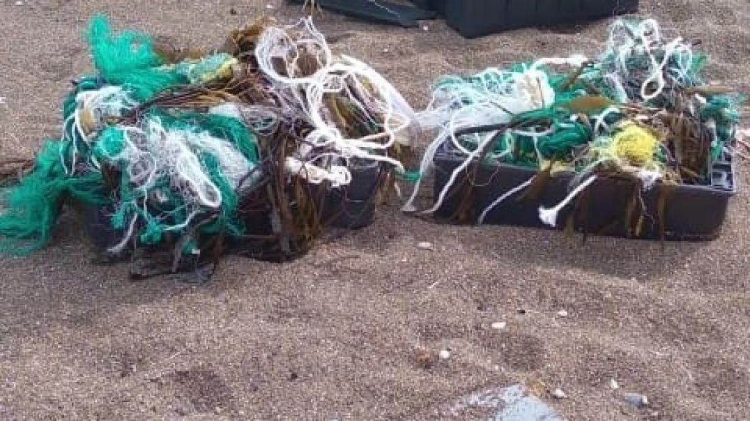 Mar de plástico: se incumple con la Ley de Pesca al no identificar la empresa en los cajones disemin