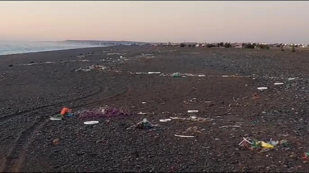 De la mejor playa, a la más sucia: otra vez desechos pesqueros en las costas de Playa Unión