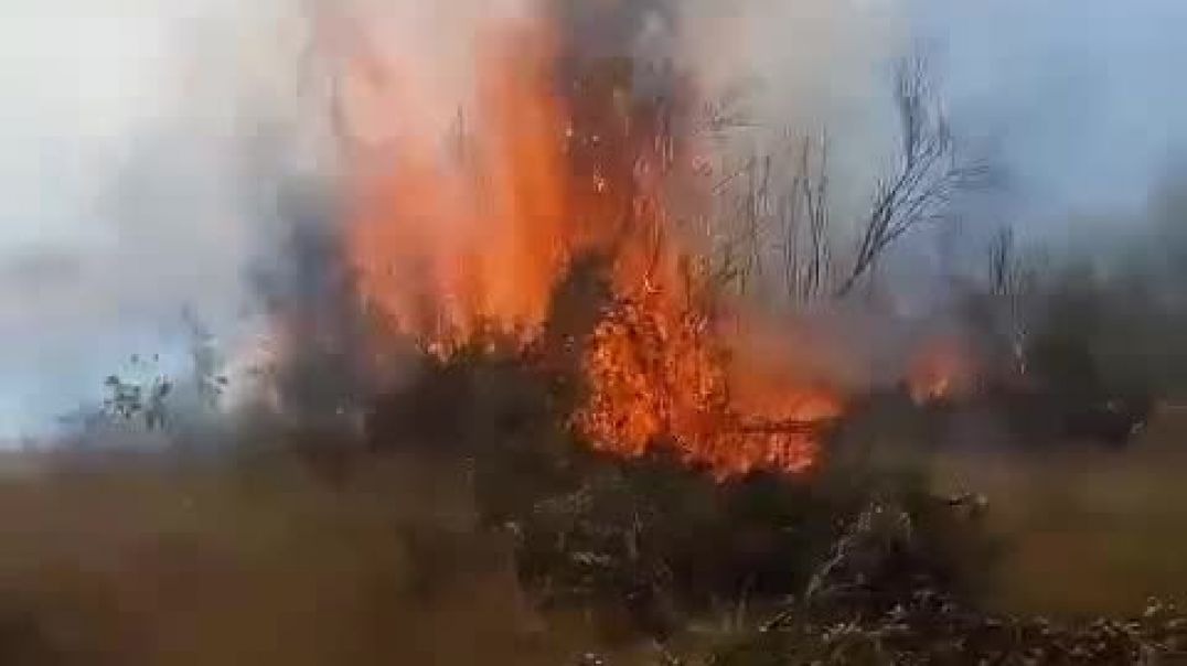 ⁣Bomberos lograron evitar la propagación de un incendio en Carrenleufú