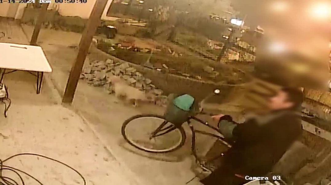 ⁣Se robó una bicicleta en Playa Unión y quedó grabado