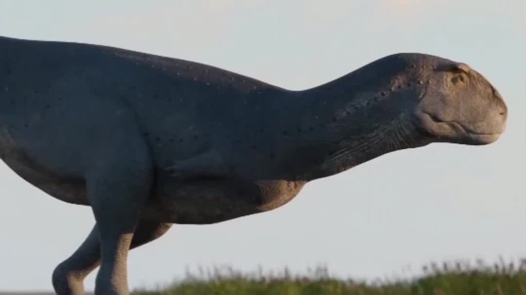 ⁣Koleken inakayali, el nuevo dinosaurio hallado en Chubut parte 2