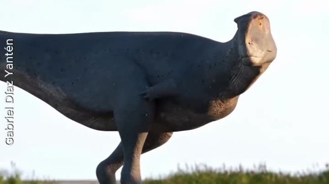 ⁣Koleken inakayali, el nuevo dinosaurio hallado en Chubut