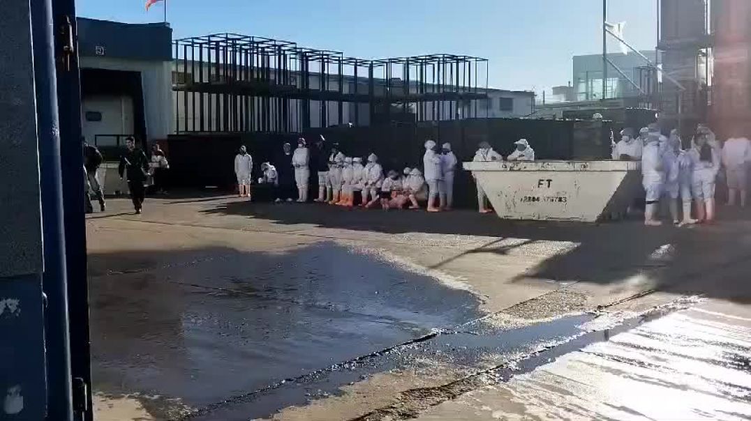 Evacuaron una pesquera de Madryn por una fuga de amoníaco