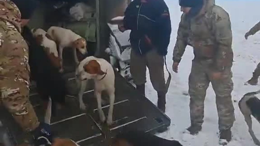 El Ejército rescató a un peón y sus 13 perros de una cabaña en Santa Cruz